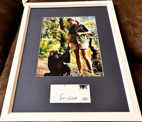Jane goodall autografo firmato - jane,
